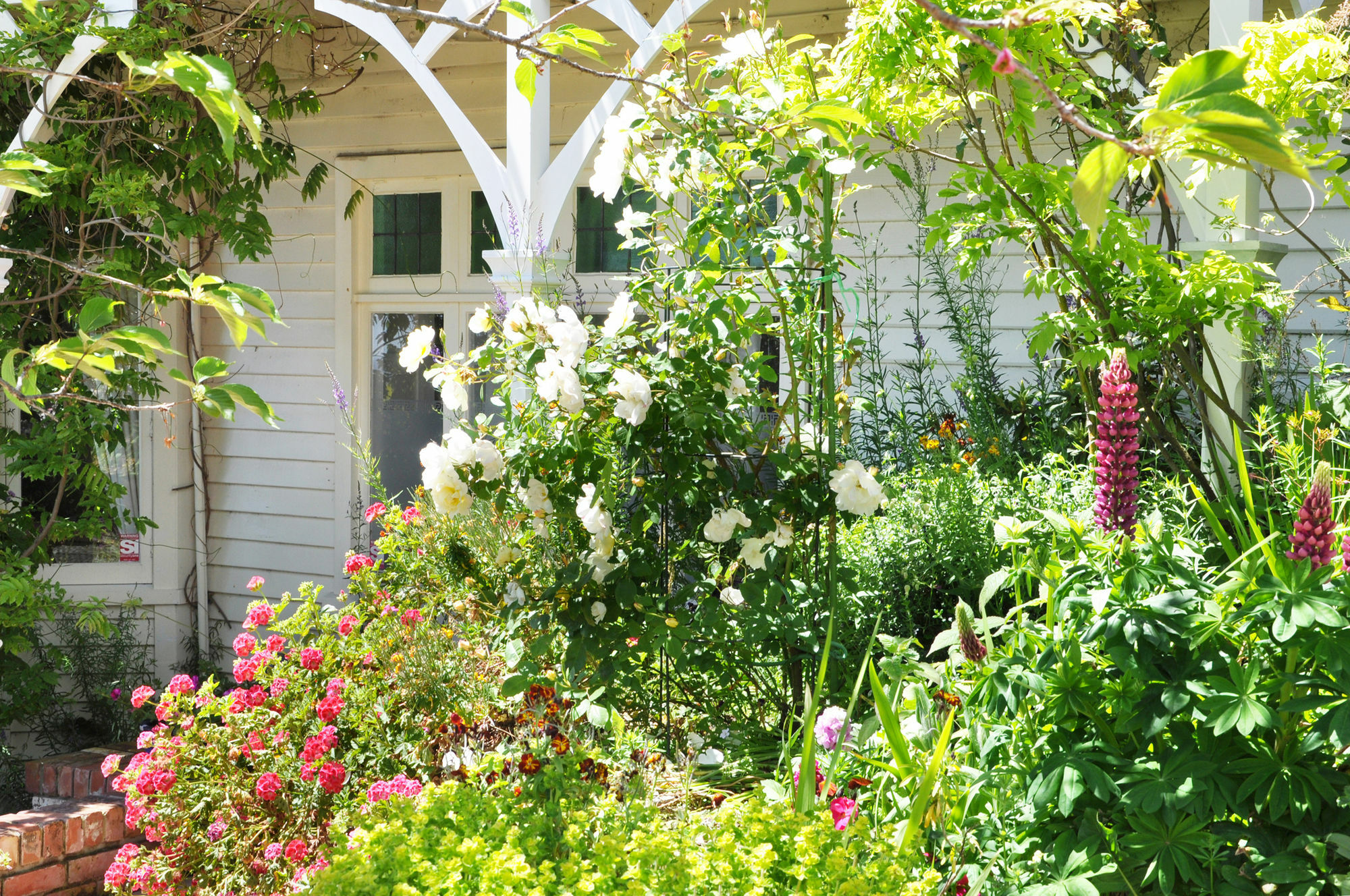 Bed and Breakfast Dyers House Christchurch Esterno foto