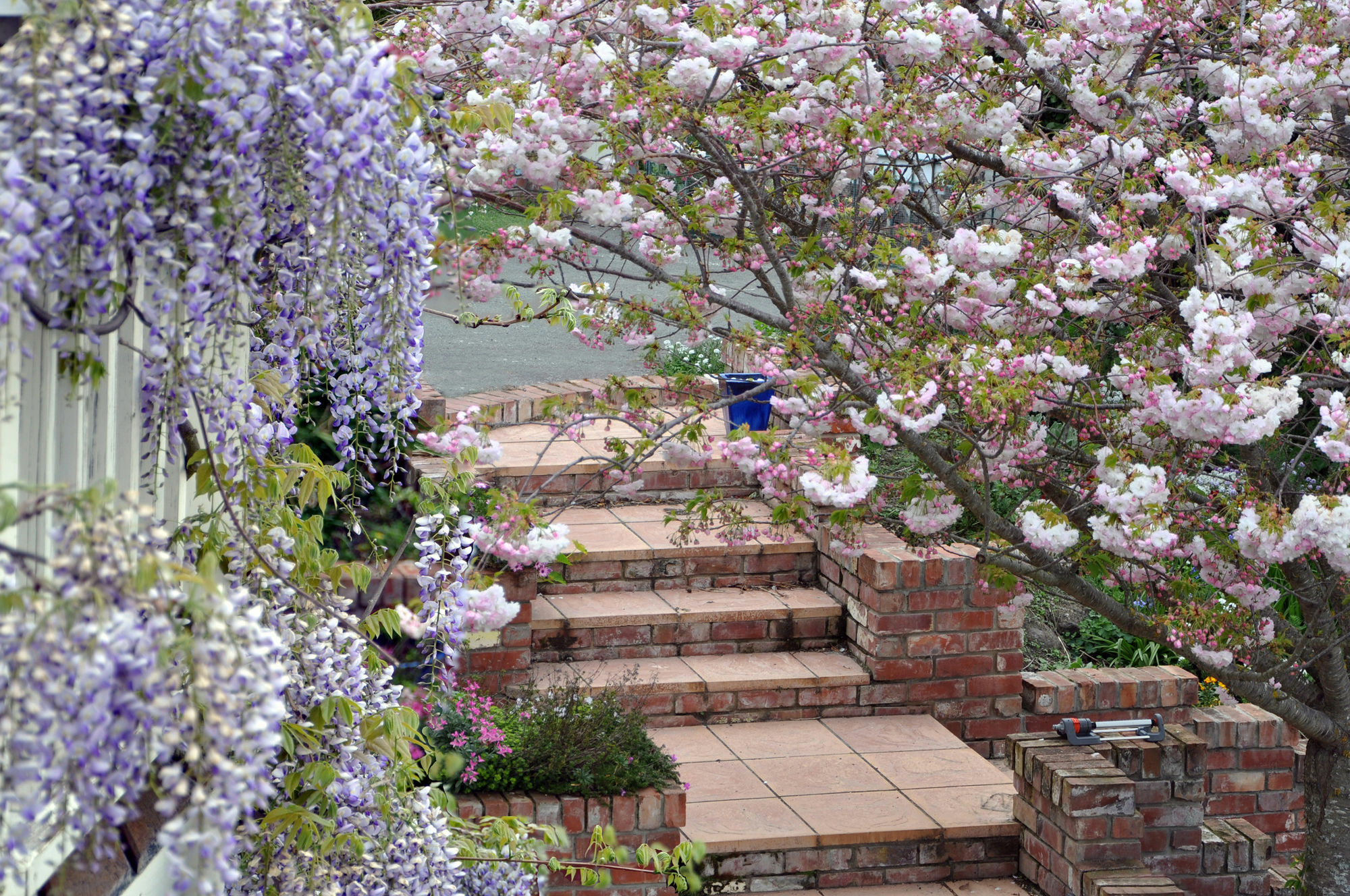 Bed and Breakfast Dyers House Christchurch Esterno foto